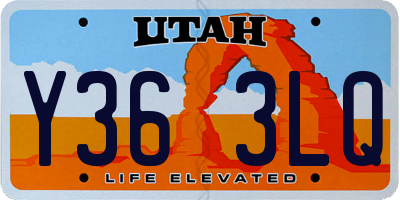 UT license plate Y363LQ