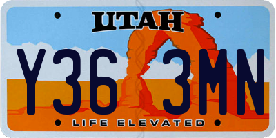 UT license plate Y363MN