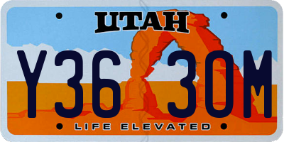 UT license plate Y363OM
