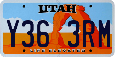 UT license plate Y363RM