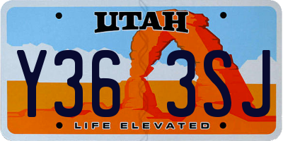 UT license plate Y363SJ