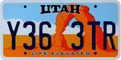 UT license plate Y363TR