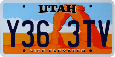 UT license plate Y363TV