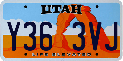 UT license plate Y363VJ