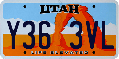 UT license plate Y363VL