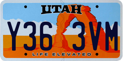 UT license plate Y363VM