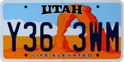 UT license plate Y363WM