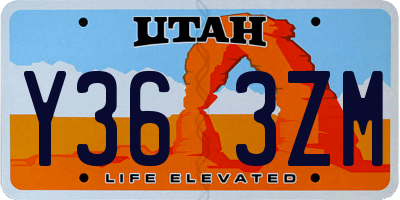 UT license plate Y363ZM