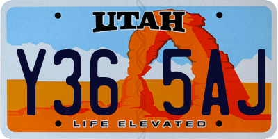 UT license plate Y365AJ