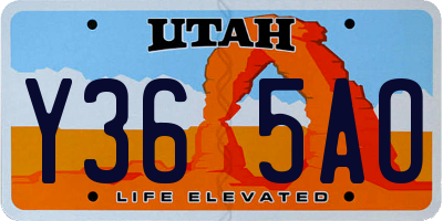UT license plate Y365AO