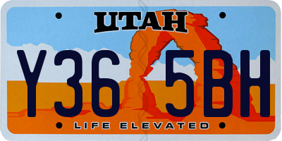 UT license plate Y365BH