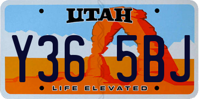 UT license plate Y365BJ