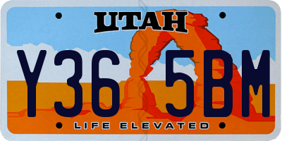 UT license plate Y365BM