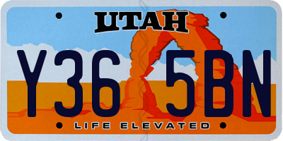 UT license plate Y365BN
