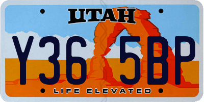 UT license plate Y365BP
