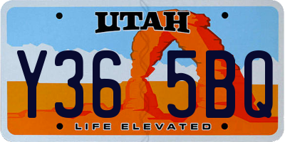 UT license plate Y365BQ