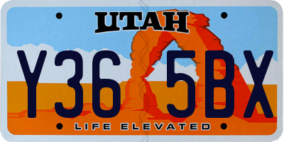 UT license plate Y365BX
