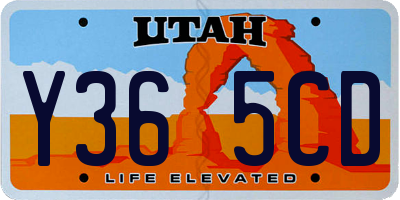 UT license plate Y365CD