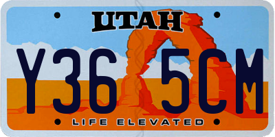 UT license plate Y365CM