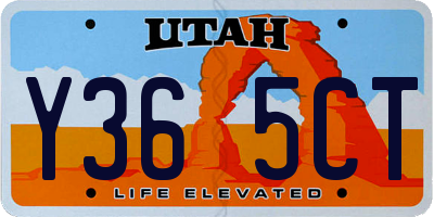UT license plate Y365CT