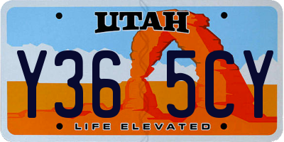 UT license plate Y365CY