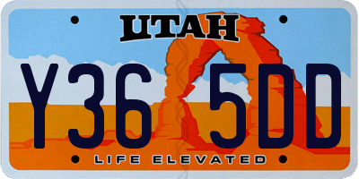 UT license plate Y365DD