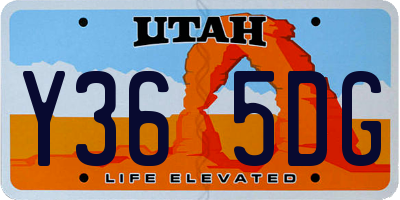 UT license plate Y365DG