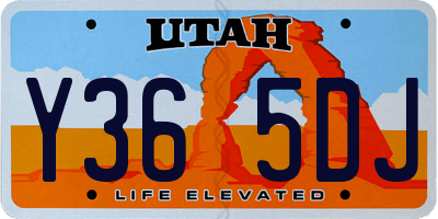 UT license plate Y365DJ