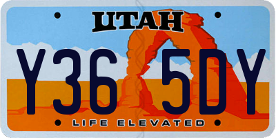 UT license plate Y365DY