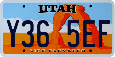 UT license plate Y365EF