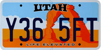UT license plate Y365FT