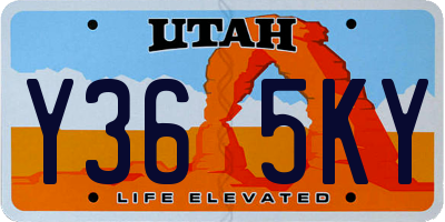 UT license plate Y365KY