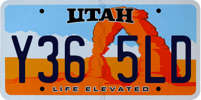 UT license plate Y365LD