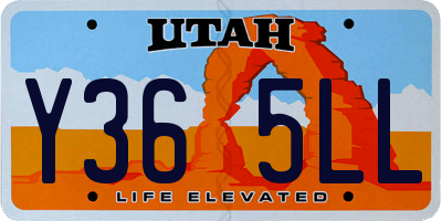 UT license plate Y365LL