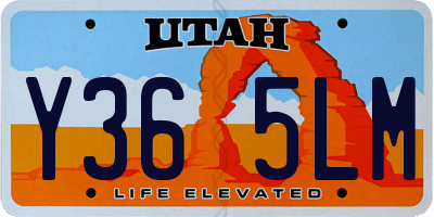 UT license plate Y365LM