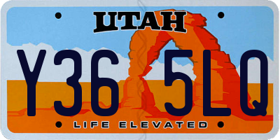 UT license plate Y365LQ