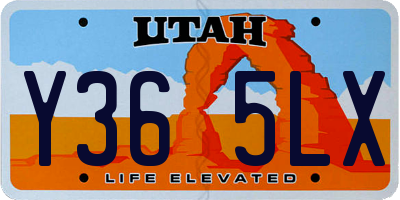 UT license plate Y365LX