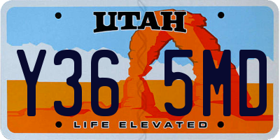 UT license plate Y365MD