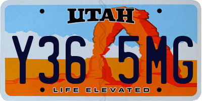 UT license plate Y365MG