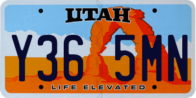 UT license plate Y365MN