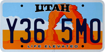 UT license plate Y365MO
