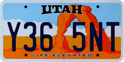 UT license plate Y365NT