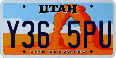 UT license plate Y365PU
