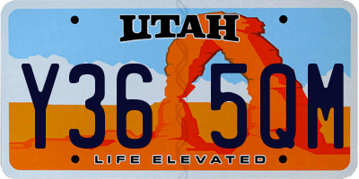 UT license plate Y365QM