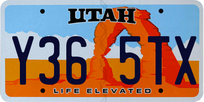 UT license plate Y365TX