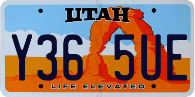 UT license plate Y365UE