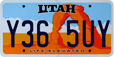 UT license plate Y365UY