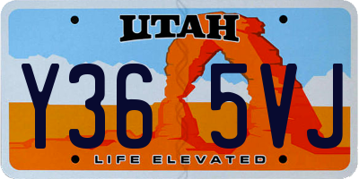 UT license plate Y365VJ