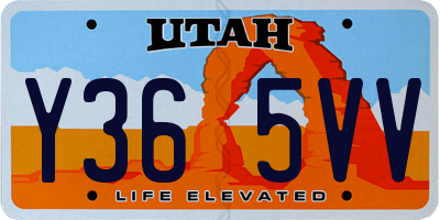UT license plate Y365VV
