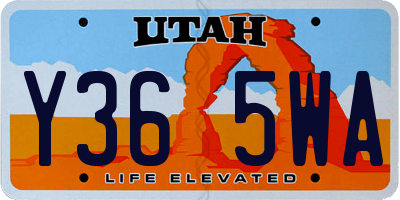 UT license plate Y365WA
